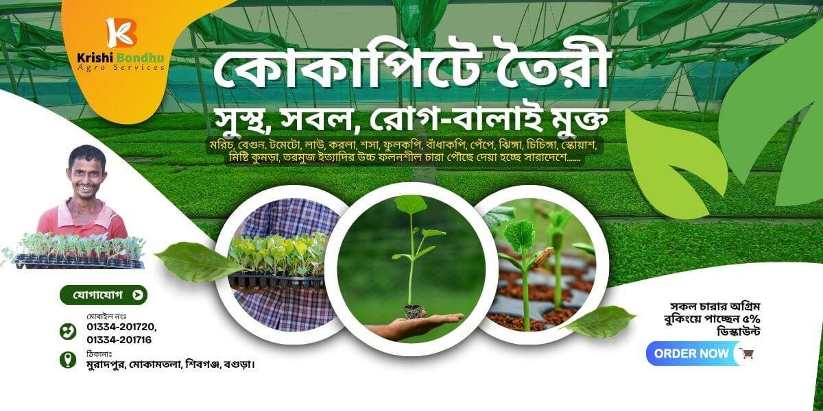 Krishi Bondhu Seedlings