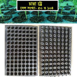 seedling tray price in bangladesg